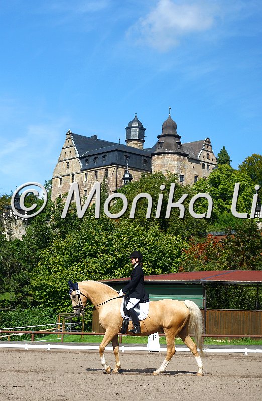 009M2250_Magic Yellow_Dressur E.JPG